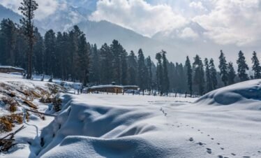 Kashmir honeymoon tour package