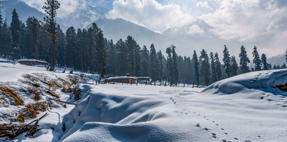 Kashmir honeymoon tour package