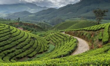 Kerala tour package