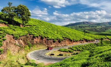 Kerala tour package