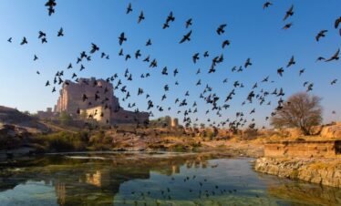 Jodhpur tour package