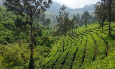 Coimbatore Tour Package