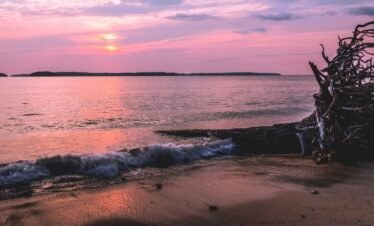 Andaman tour package
