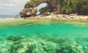 Andaman tour package