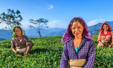 Darjeeling Tour Package