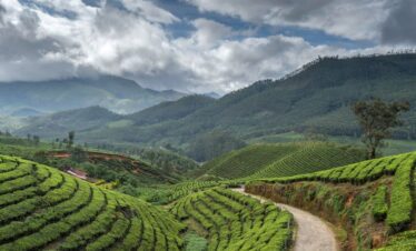 Darjeeling Tour Package from delhi