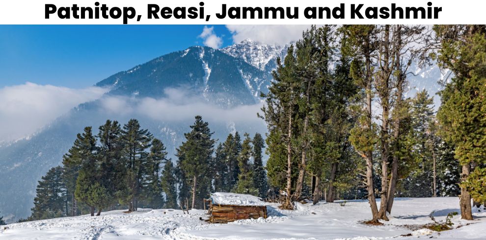 Patnitop, Reasi, Jammu and Kashmir - Best Places to Visit Near Vaishno Devi