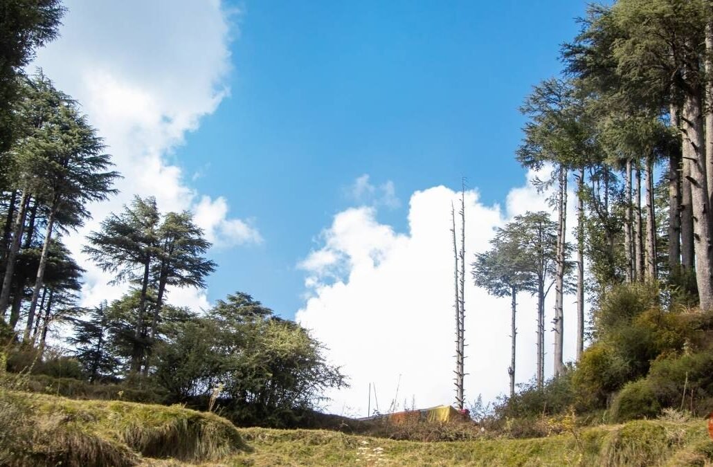 Top 10 Places to Visit Near Vaishno Devi 11 Scenic mountain views of Patnitop near Vaishno Devi