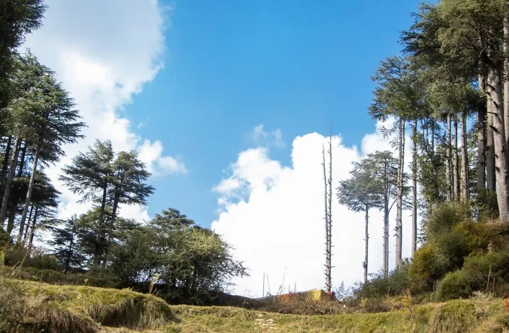 Scenic mountain views of Patnitop near Vaishno Devi