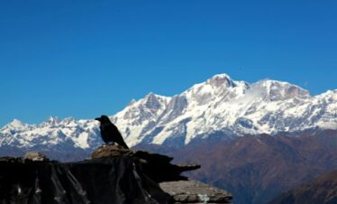 chopta tungnath package, tungnath tour package, tungnath trek package, chopta tungnath trek package Chopta Tungnath Package from Delhi