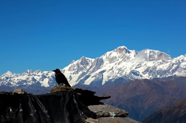 chopta tungnath package, tungnath tour package​, tungnath trek package​, chopta tungnath trek package​ Chopta Tungnath Package from Delhi