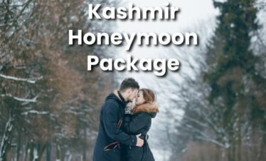 kashmir honeymoon tour package, kashmir honeymoon tour packages from Srinagar, kashmir tour package