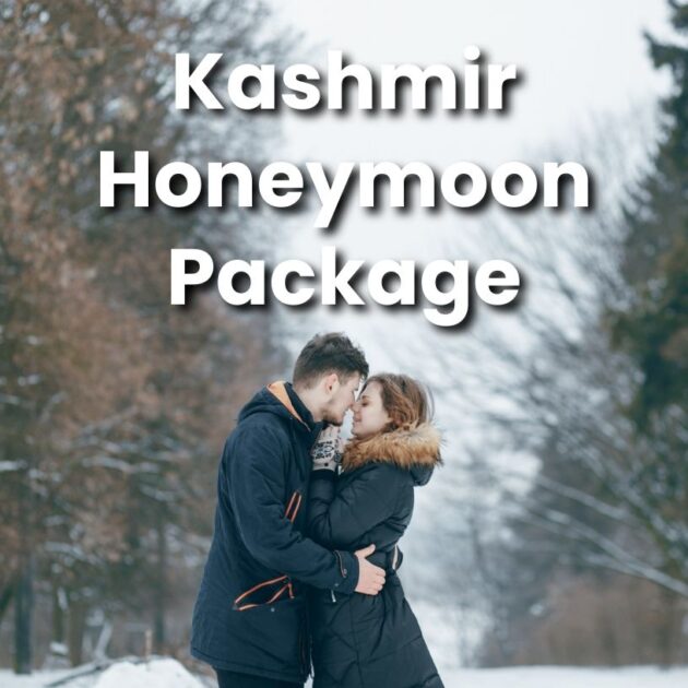 kashmir honeymoon tour package, kashmir honeymoon tour packages from Srinagar, kashmir tour package