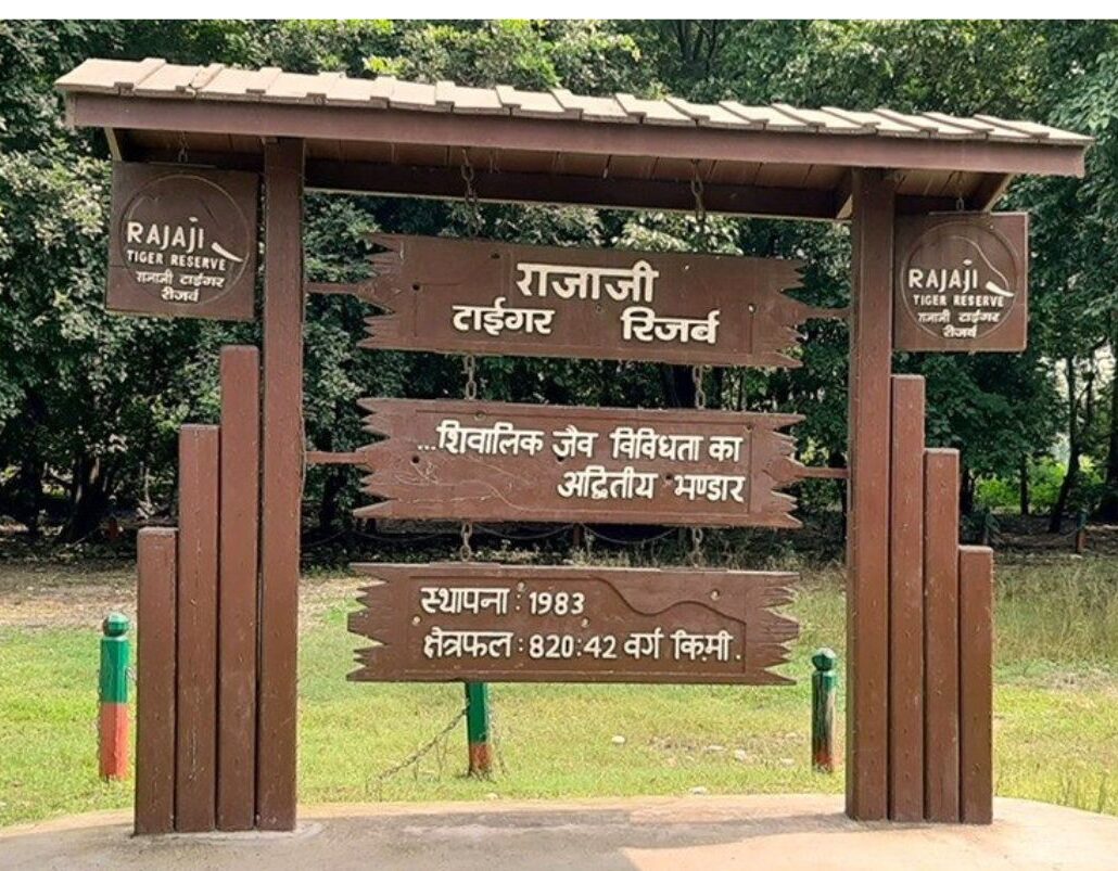 Top 10 Places in Haridwar to Visit 83 Rajaji National Park Haridwar 1