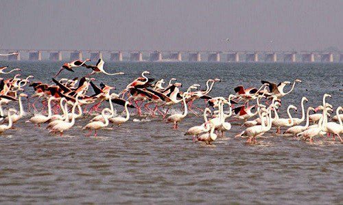 Top Places in Haridwar for Couples-A Energy Spot 85 Neel Dhara Pakshi Vihar