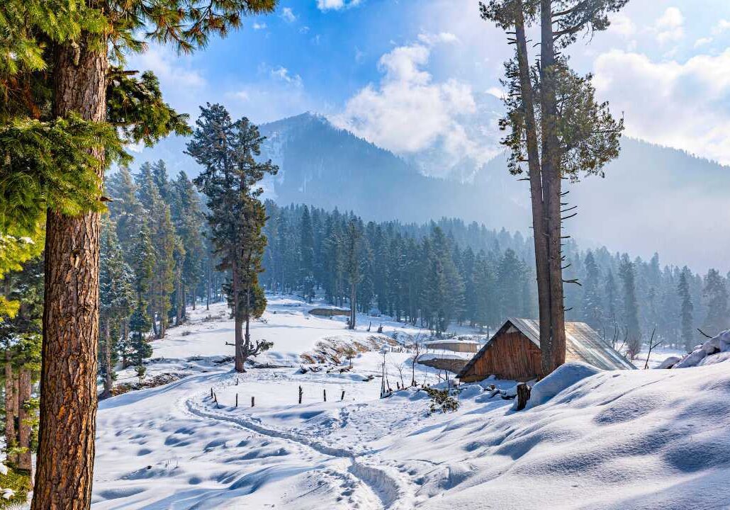 Vaishno Devi Patnitop Tour Package @4,999 Rs Book Now 58 Vaishno Devi Patnitop Tour Package