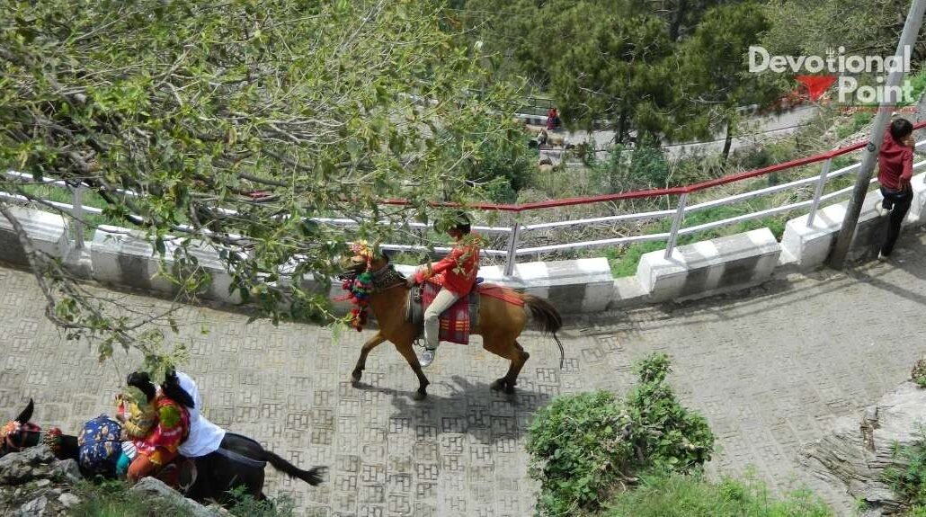 Tarakote Marg vs Banganga Marg: Complete Route Comparison for Vaishno Devi Yatra 10 Horse ride in banganga marg